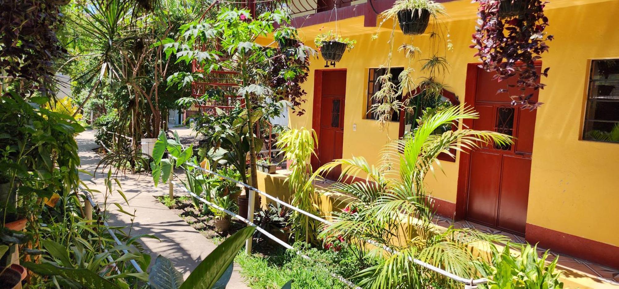 Hospedaje Santo Domingo باناخاتشيل المظهر الخارجي الصورة